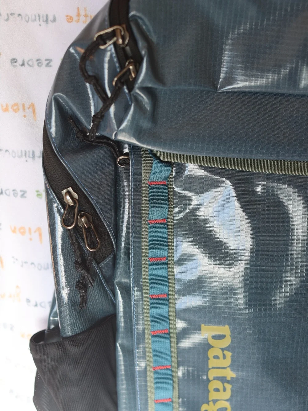 NWT Patagonia Black Hole Pack 32L